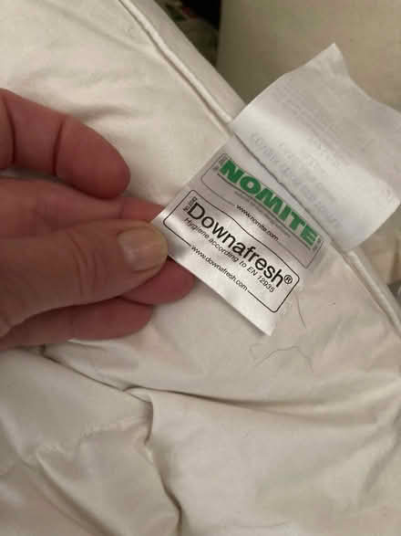 Photo of free Down mattress topper kingsize (Walton Manor OX2) #1