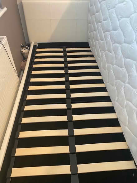 Photo of free Single bed (Hextable BR8) #3