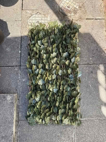 Photo of free Fake ivy trellis (St Peter’s, Newcastle, NE6) #4