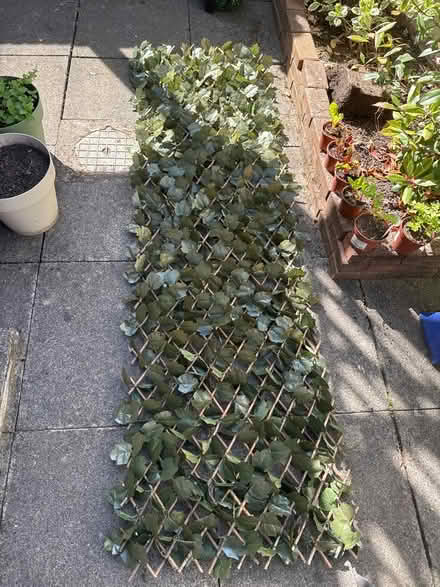Photo of free Fake ivy trellis (St Peter’s, Newcastle, NE6) #2