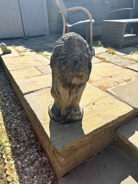 Photo of free Stone lions garden statues x3 (Oakenshaw South B987) #2
