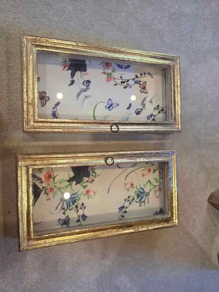 Photo of free 2 wall mounted decorative cases (Earlsfield SW18) #1