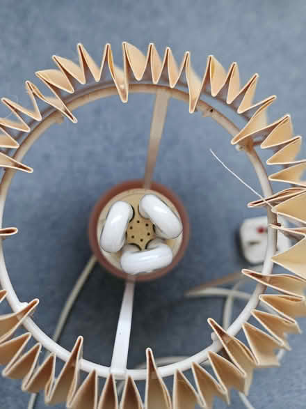 Photo of free Table lamp (Welling DA16) #3