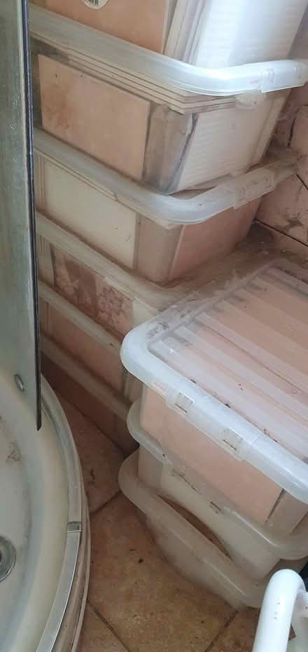 Photo of free Tiles (B277df) #1