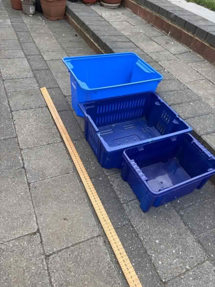 Photo of free Storage boxes (WGC) #1