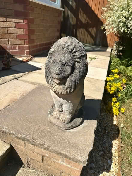 Photo of free Stone lions garden statues x3 (Oakenshaw South B987) #3
