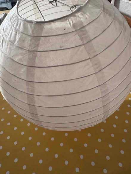 Photo of free Paper lampshade (Morden, SM4) #1