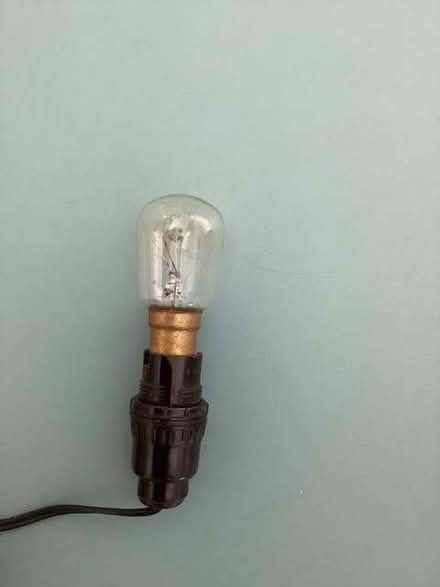 Photo of free Two conch lamps (Brooke NR15) #2