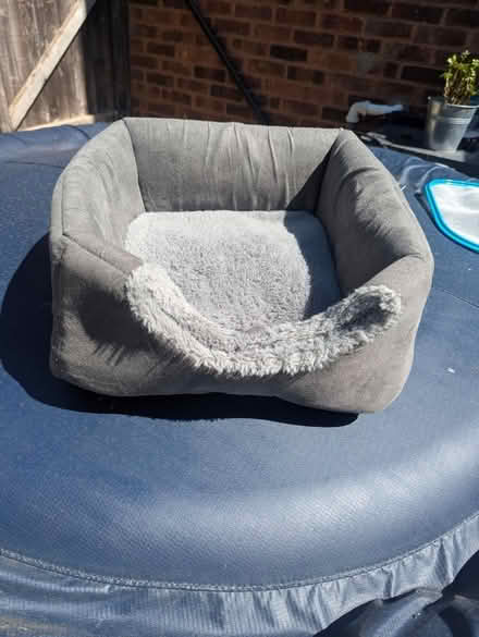 Photo of free Cat bed (furry collapsible) (CM12) #1
