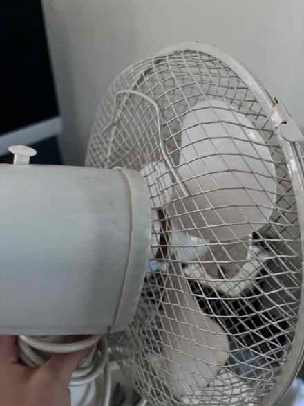 Photo of free Small Fan (TW20) #3