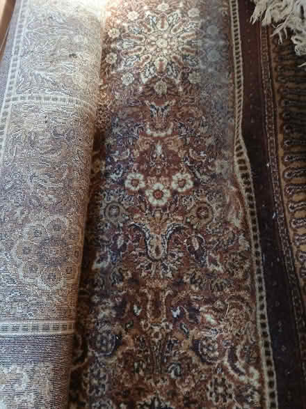 Photo of free Very large wool rug. (Woodside SE25) #3