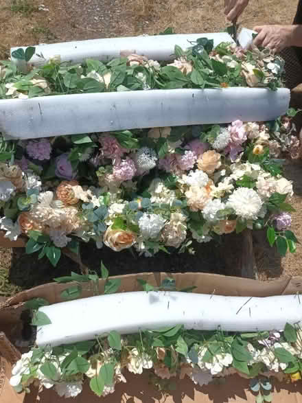Photo of free Flowers (Gu22 9dj) #3
