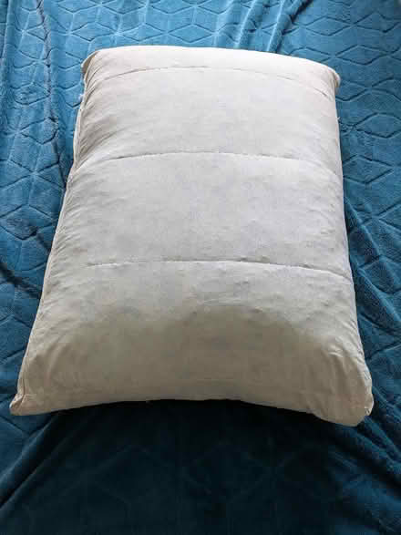 Photo of free 2x Floor cushions (Uckfield TN22) #3