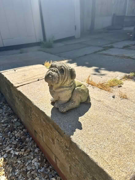 Photo of free Stone pug dog garden statue (Oakenshaw South B987) #2