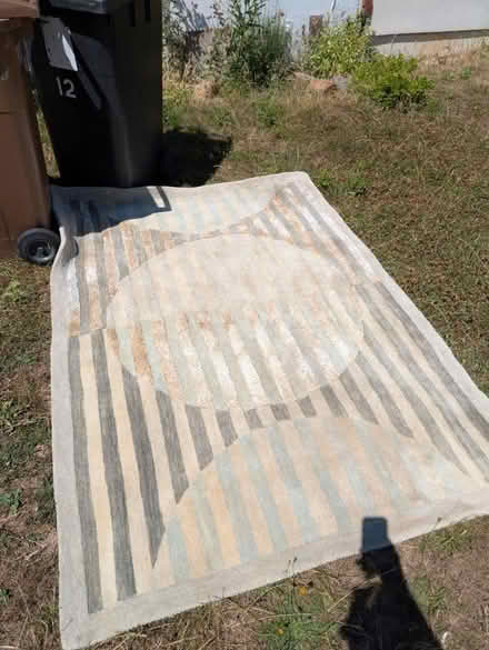 Photo of free Rug 150 by 210cm (Great Baddow CM2) #1