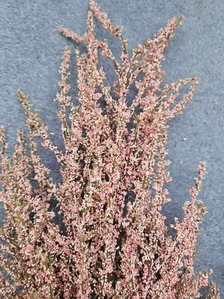 Photo of free Faux flowers (Welling DA16) #3