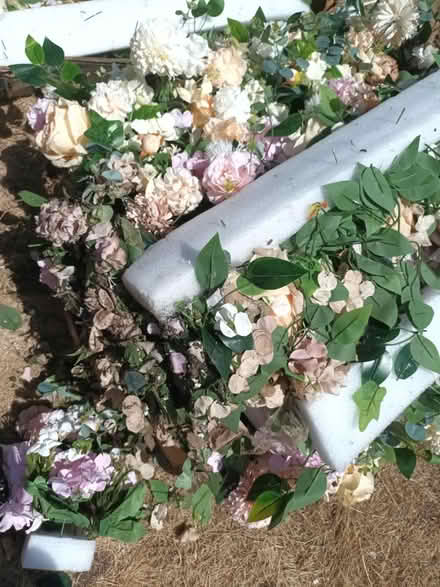 Photo of free Flowers (Gu22 9dj) #1