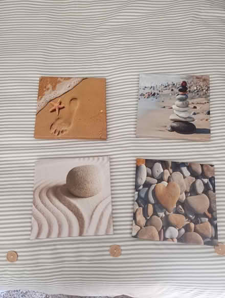 Photo of free Seashore Prints (Backworth NE27) #1