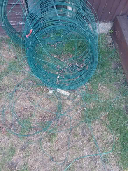 Photo of free Wire for fencing (New addington) #1