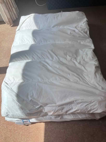 Photo of free Dog bed (Great Boughton CH3) #1