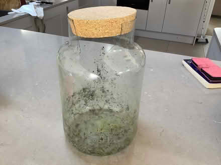 Photo of Terrarium (Hampsthwaite HG3) #1