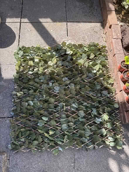 Photo of free Fake ivy trellis (St Peter’s, Newcastle, NE6) #3