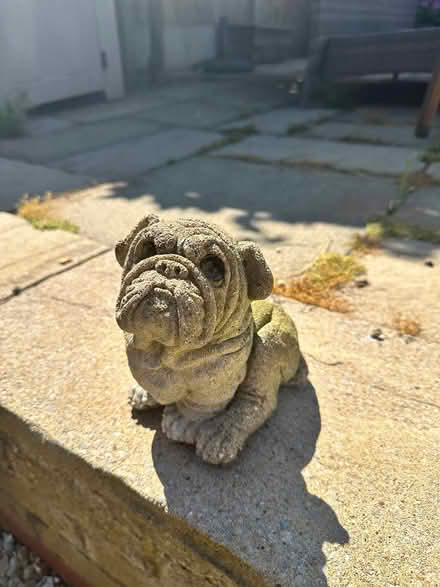 Photo of free Stone pug dog garden statue (Oakenshaw South B987) #1