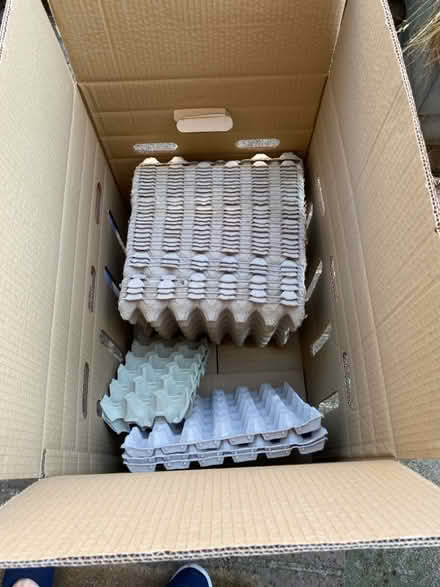 Photo of free Over 30 egg crates (Ware SG12) #1