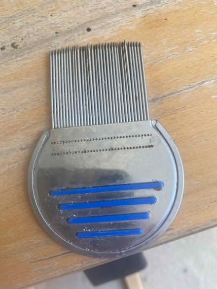 Photo of free Metal nit comb. Really works. Sterilised (Camden Square NW5) #1