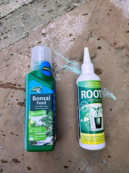 Photo of free Bonsai Feed (CM11) #1