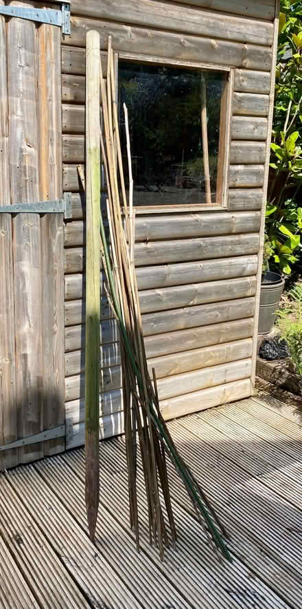 Photo of free Garden shed clearout (Cradoc LD3) #4