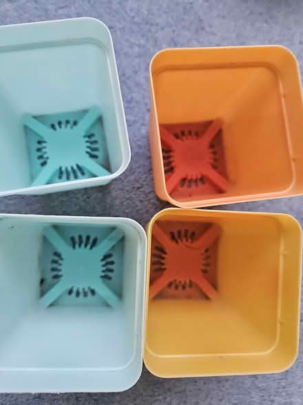 Photo of free Plastic Flowers pots (Welling DA16) #4