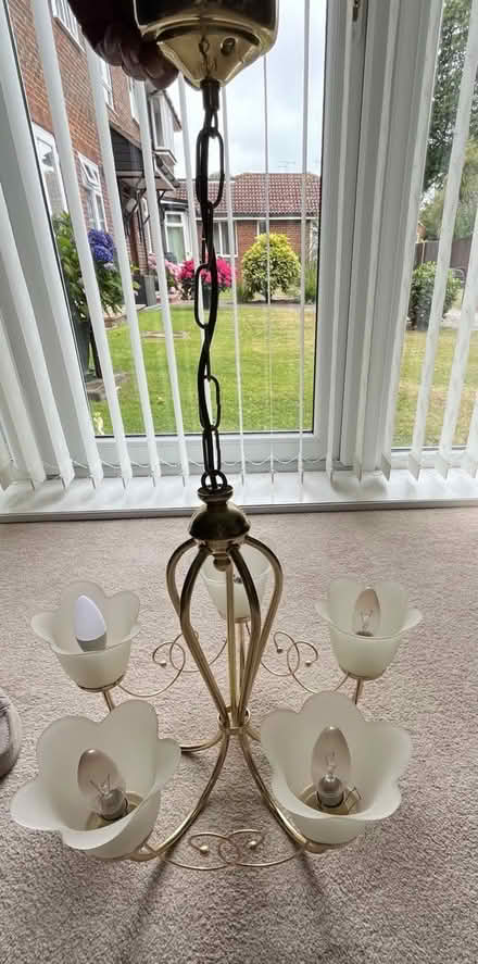 Photo of free Chandelier (CT7) #2