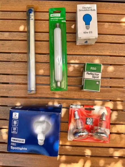 Photo of free Various Light Bulbs (Chailey) #1