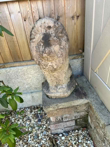 Photo of free Stone lions garden statues x3 (Oakenshaw South B987) #4