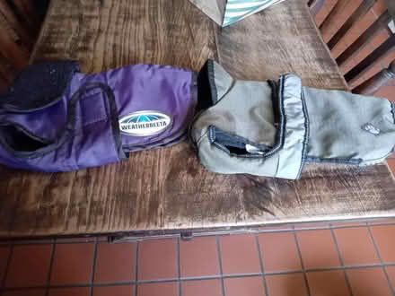 Photo of free Warm dog coats (Buriton GU31) #1