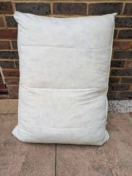 Photo of free 2x Floor cushions (Uckfield TN22) #4