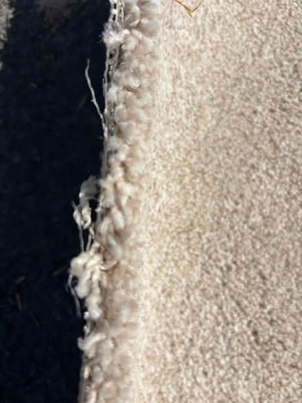 Photo of free Carpet off cuts (Longton Preston PR4) #2