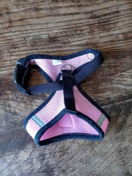 Photo of free Smaller dog harness (Buriton GU31) #1