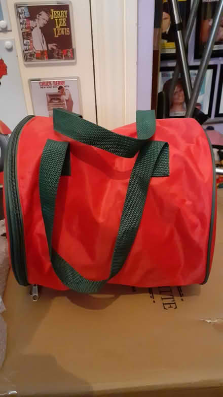 Photo of free Christmas tree lights + storage bag (Brixton SW9) #2