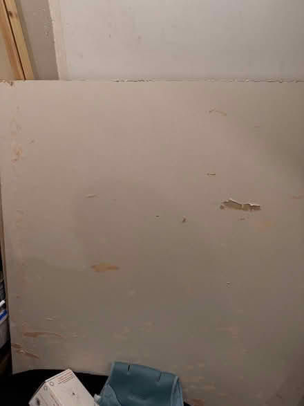 Photo of free 5 sheets of plasterboard (South Norwood SE25) #1