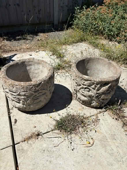 Photo of free Pair of concrete urns (West Winch PE33) #1