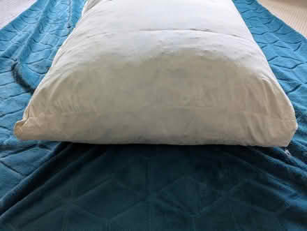 Photo of free 2x Floor cushions (Uckfield TN22) #2