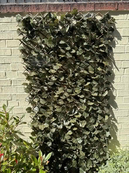 Photo of free Fake ivy trellis (St Peter’s, Newcastle, NE6) #1