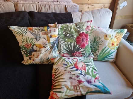 Photo of free Tropical cushion covers (Windsor SL4) #1