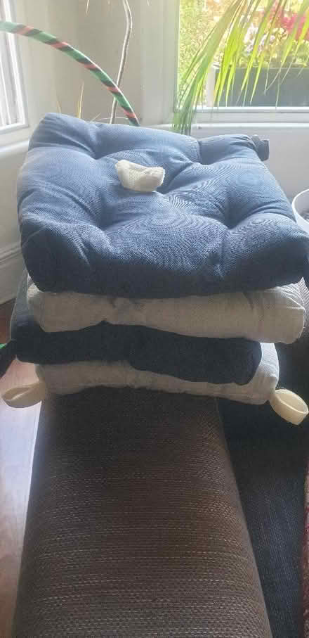 Photo of free Seat pads (Lewisham SE13) #2