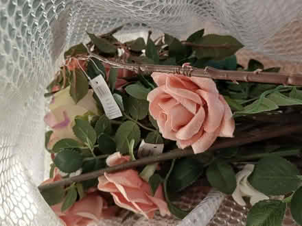 Photo of free Artificial Roses and foliage. (Chichester PO19) #2