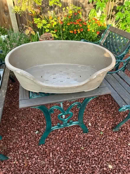 Photo of free 70cm plastic dog bed (Hucknall NG15) #4