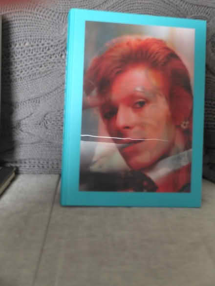 Photo of free Book: The Rise of David Bowie (Battle TN33) #1