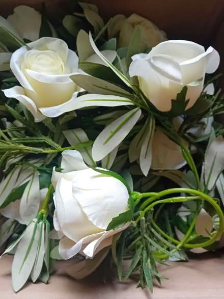 Photo of free Plastic roses for wedding (Teddington TW11) #1